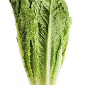 ROMAINE LETTUCE EA