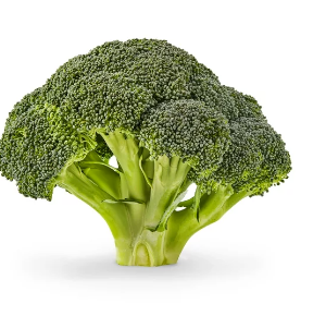 CROWN CUT BROCCOLI 20# CS