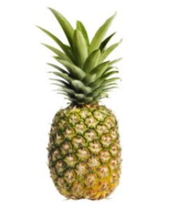 PINEAPPLE EA