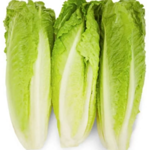 ROMAINE LETTUCE 24 CT CS