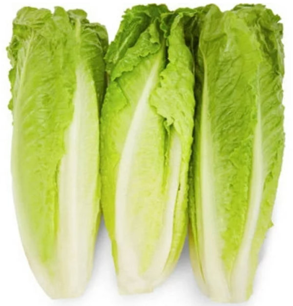 ROMAINE LETTUCE 24 CT CS