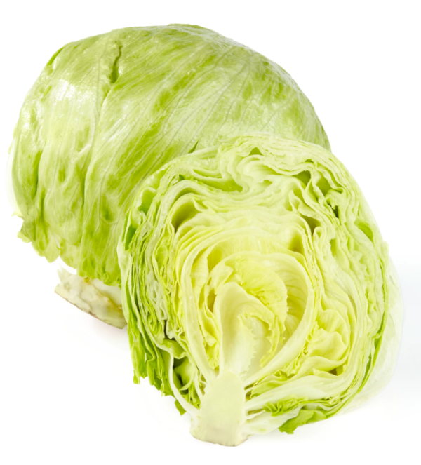 Lettuce, Iceberg Cello ea