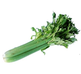 CELERY EA