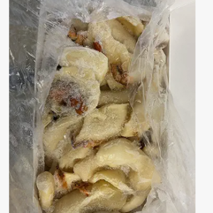 CONCH 100% CLEANED 5 LB