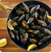 Mussels Black 10/1 LB