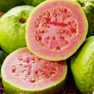 GUAVA RED 10#