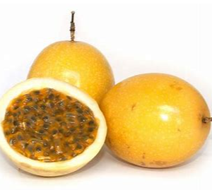 PASSION  FRUIT