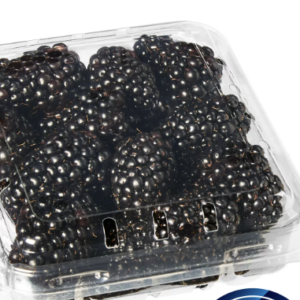 BLUEBERRIES 12/.5 PT