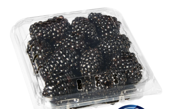 BLUEBERRIES 12/.5 PT