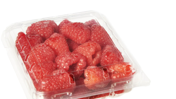 RASPBERRIES  12/ HALF/PT