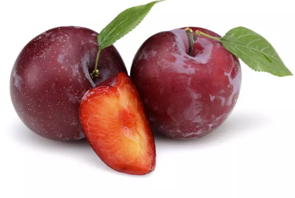 PLUMS RED