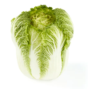 NAPA CABBAGE   BY  LB