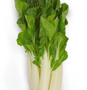 BOK CHOY