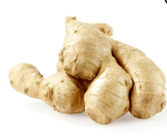 GINGER  30#