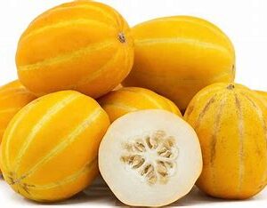 KOREAN MELON  9 CT